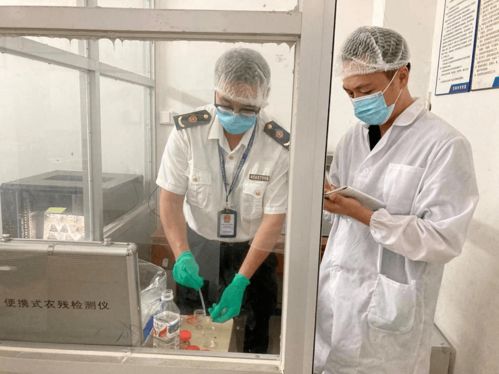 北海市多舉措保障高考期間食品安全