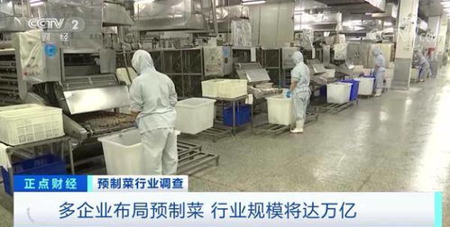 一個(gè)萬(wàn)億元風(fēng)口要來(lái) 五一 假期這種食品,賣(mài)爆了